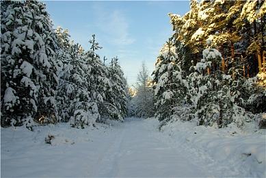 终于要来了 《逃离塔科夫》官宣2025年推出正式版